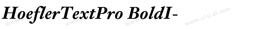 HoeflerTextPro BoldI字体转换